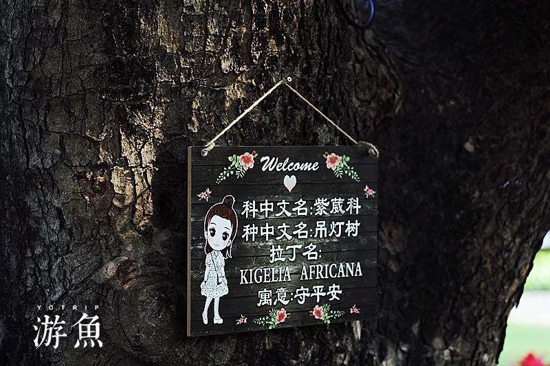 大脚车越野竞速